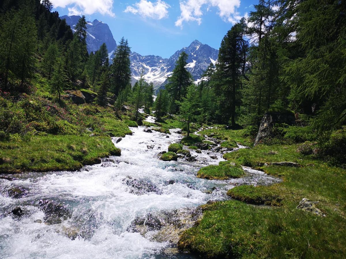 Hotel Pension Siggi Sankt Leonhard im Pitztal Buitenkant foto